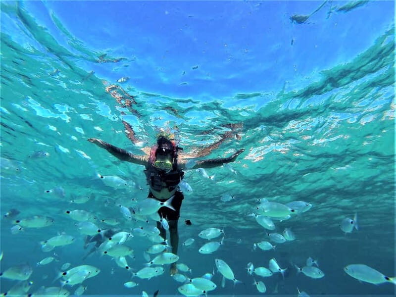 San Antonio: Sunset Beach, Coves, and Cave Snorkeling Cruise - Key Points