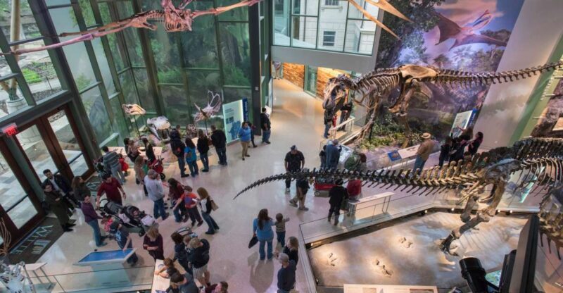 San Antonio: Witte Museum Admission Ticket - What to Expect at the Witte Museum