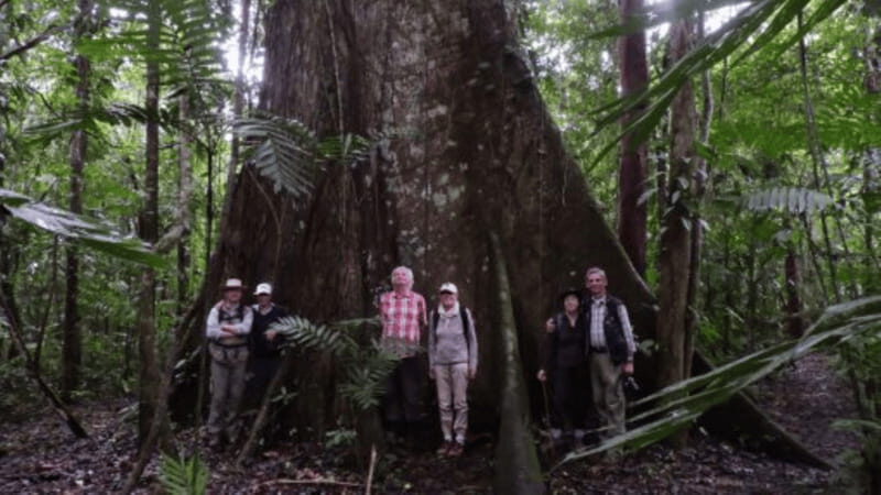 San Cristobal: 2 Days in the Southern Selva Lacandona Tour - Key Points