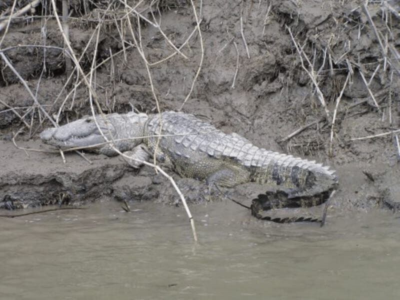 San Cristobal: 2 Days in the Southern Selva Lacandona Tour - What’s Included & Practical Aspects