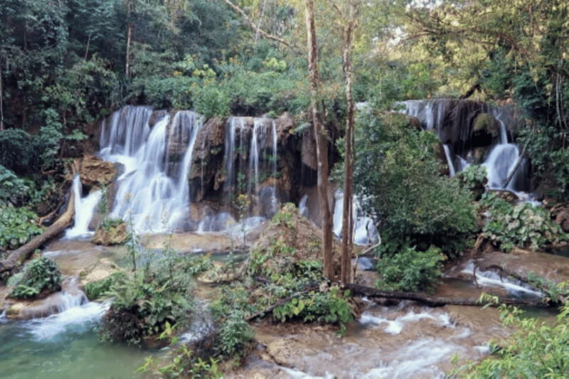 San Cristobal: 3 Days Expedition of North Lacandona Jungle - A Detailed Look at the 3-Day North Lacandona Jungle Expedition  