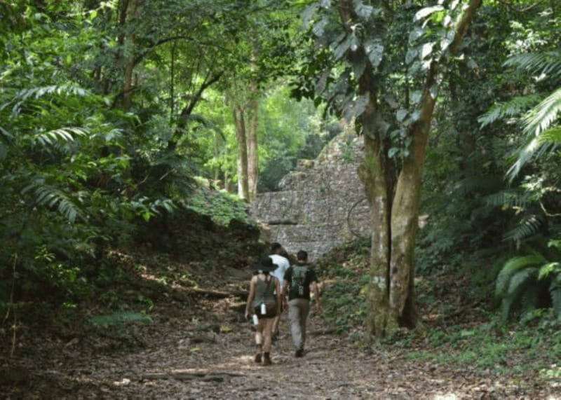 San Cristobal: 3 Days Expedition of North Lacandona Jungle - Practicalities and Value  