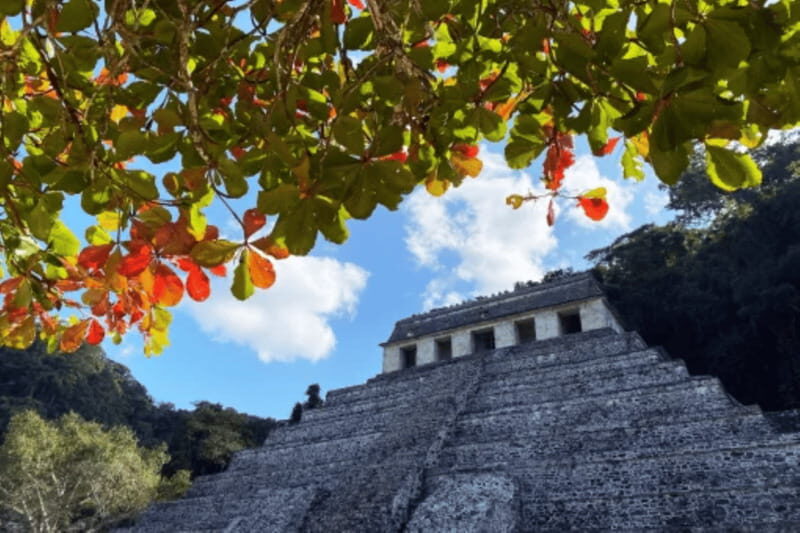 San Cristobal: 3 Days Nature Tour Southern Selva Lacandona - Key Points