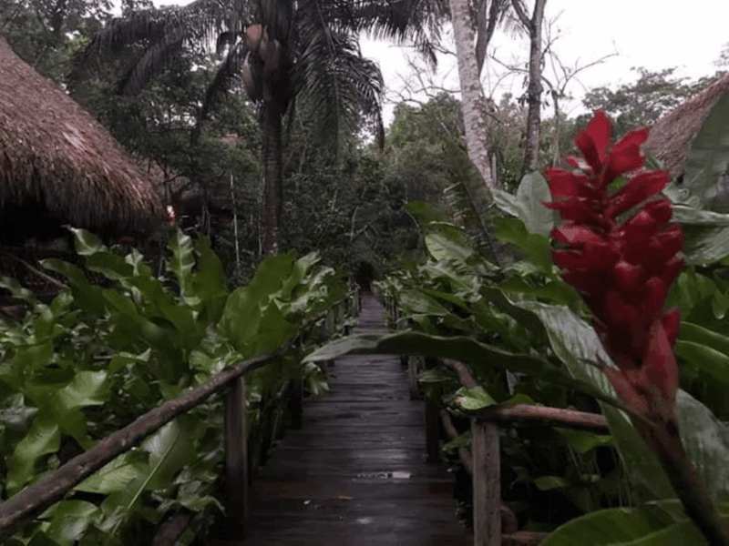 san-cristobal-coffee-tour-in-the-mountains-of-chiapas