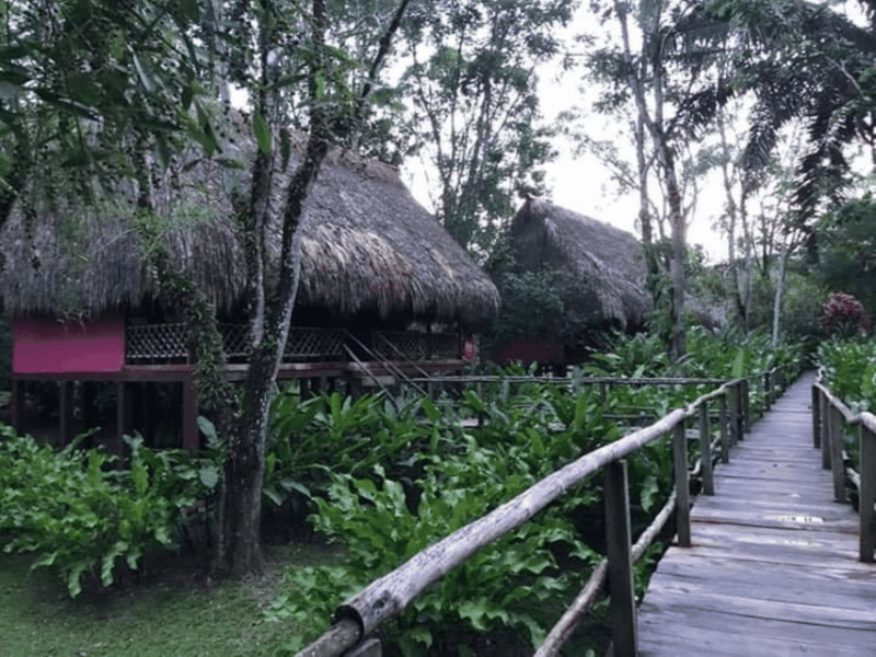 san-cristobal-coffee-tour-in-the-mountains-of-chiapas