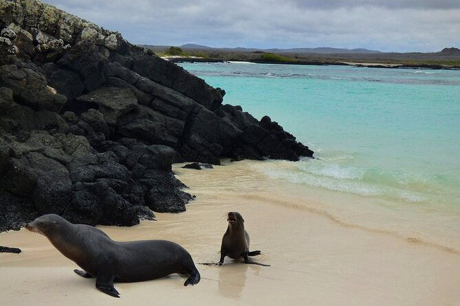 san-cristobal-galapagos-360-snorkeling-tour-kicker-rock
