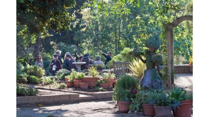 san-diego-botanical-garden-entry-ticket-and-transportation