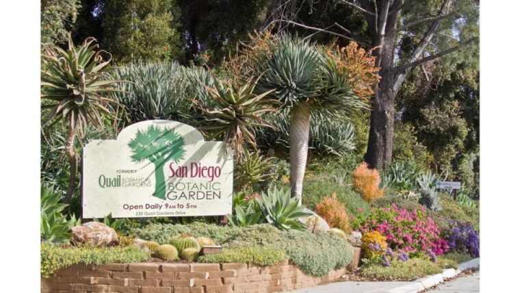 san-diego-botanical-garden-entry-ticket-and-transportation
