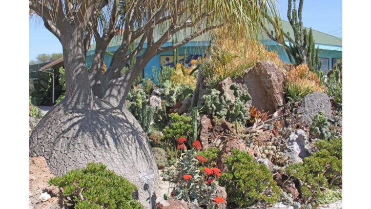 san-diego-botanical-garden-entry-ticket-and-transportation