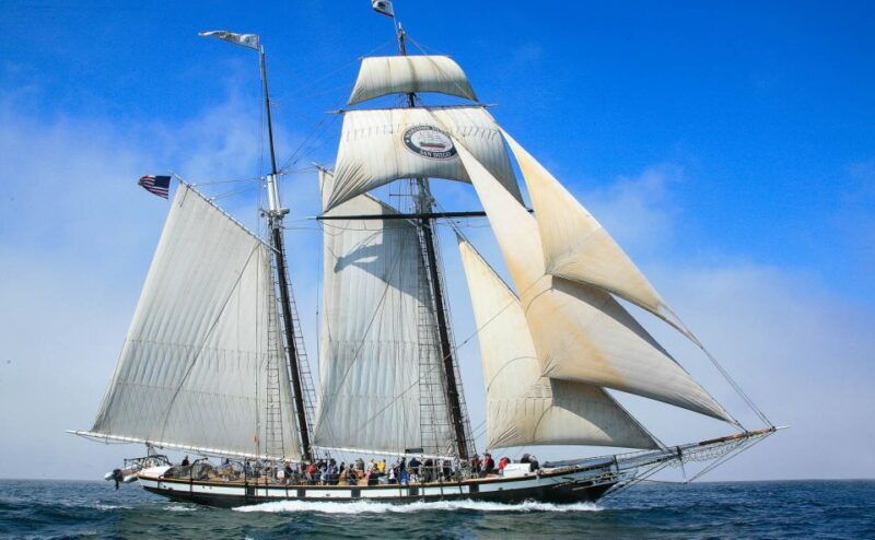 san-diego-californian-tall-ship-sailing-and-maritime-museum