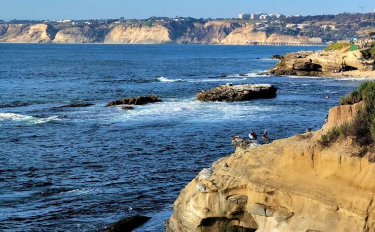 san-diego-city-and-beaches-guided-highlights-tour