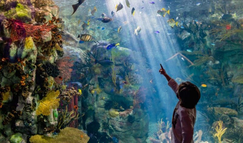San Diego: CityPASS® Save up to 44% at Must-See Attractions - Frequently Asked Questions