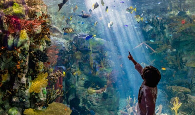 san-diego-citypass-save-up-to-44-at-must-see-attractions