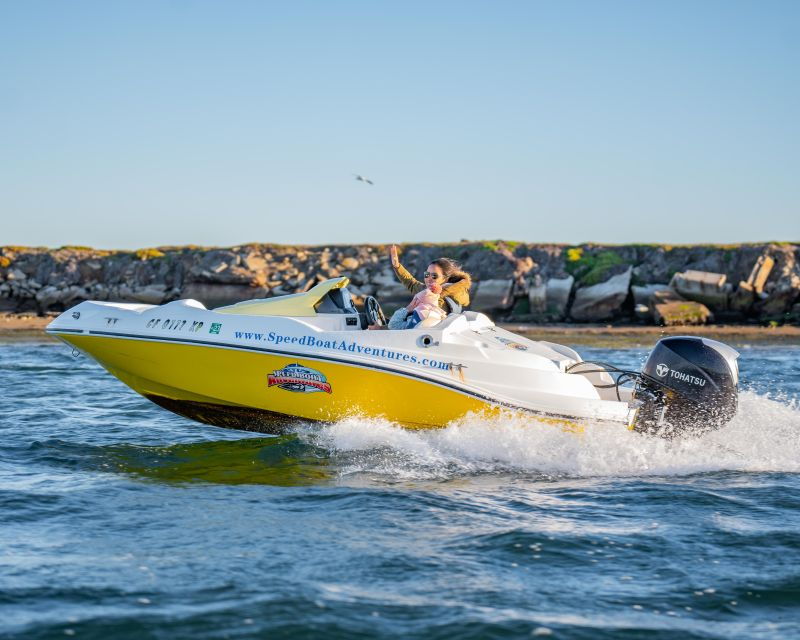 san-diego-drive-your-own-speed-boat-2-hour-tour