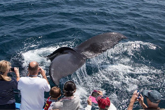 san-diego-explorer-pass-save-up-to-50-includes-san-diego-zoo-2