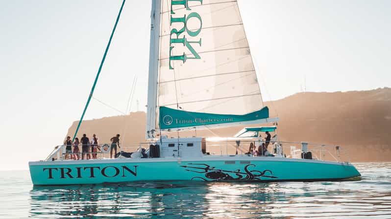 San Diego Harbor Cruise: 2.5 hour Catamaran Cruise - A Detailed Look at the San Diego Harbor Cruise