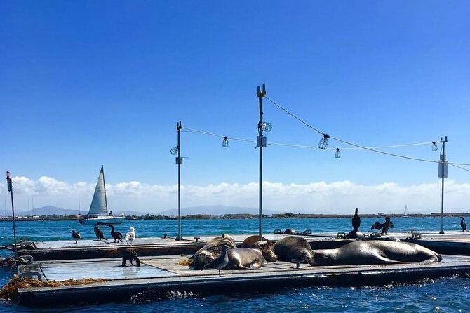 san-diego-harbor-speed-boat-adventure