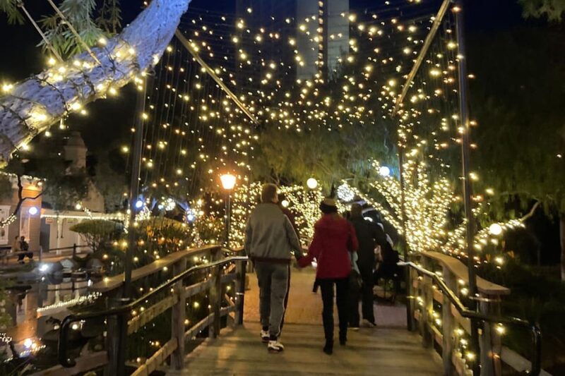 san-diego-holiday-lights-and-sights-trolley-tour