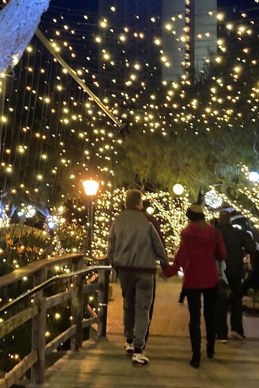 san-diego-holiday-lights-and-sights-trolley-tour