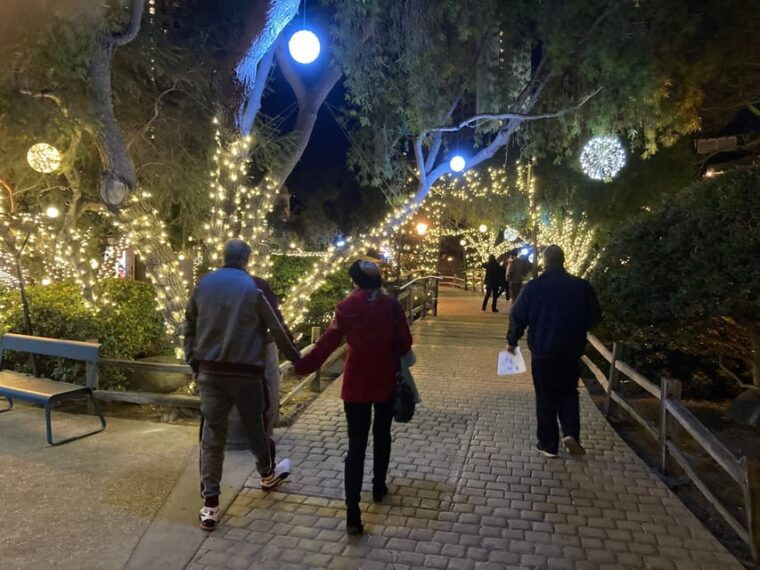san-diego-holiday-lights-and-sights-trolley-tour