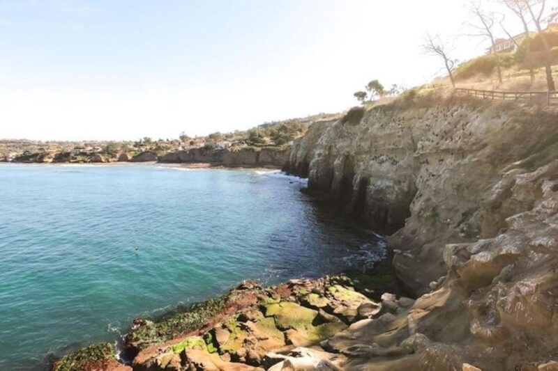 san-diego-la-jolla-cove-guided-snorkeling-tour