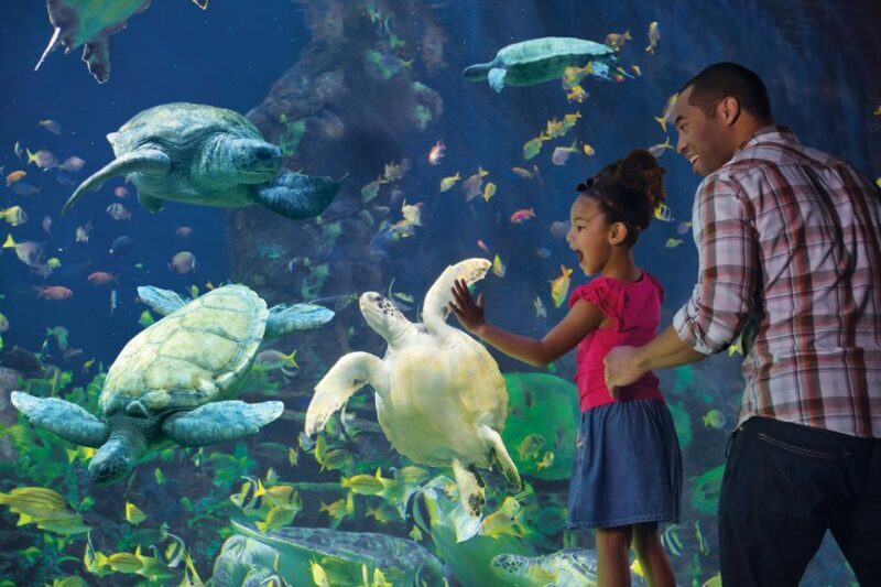 San Diego Pass: Save up to 50% - Includes LEGOLAND - Practical Tips for Making the Most of Your Pass