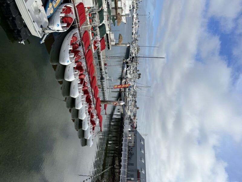 san-diego-san-diego-bay-dog-friendly-eco-pedal-boat-rentals