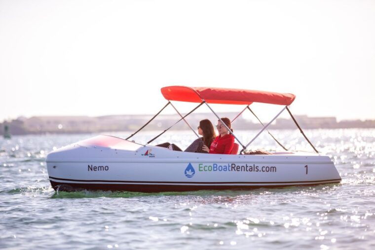 san-diego-san-diego-bay-dog-friendly-eco-pedal-boat-rentals