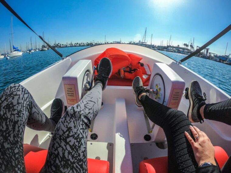 san-diego-san-diego-bay-dog-friendly-eco-pedal-boat-rentals