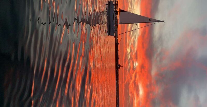 San Diego: San Diego Bay Sunset & Daytime Sailing Experience - An In-Depth Look at the San Diego Bay Sailing Experience