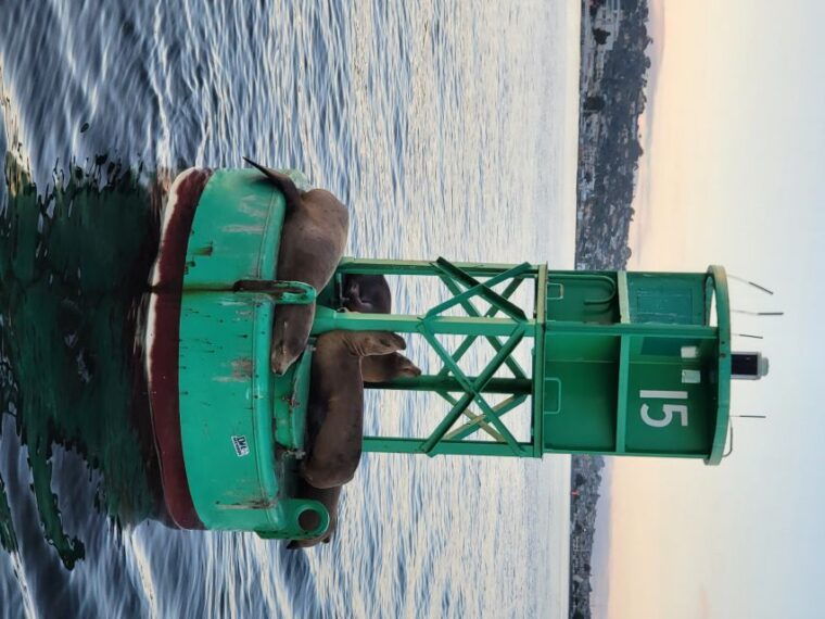 san-diego-san-diego-bay-sunset-daytime-sailing-experience