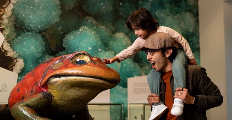 San Diego: San Diego Natural History Museum Ticket - Who Will Appreciate This Tour?
