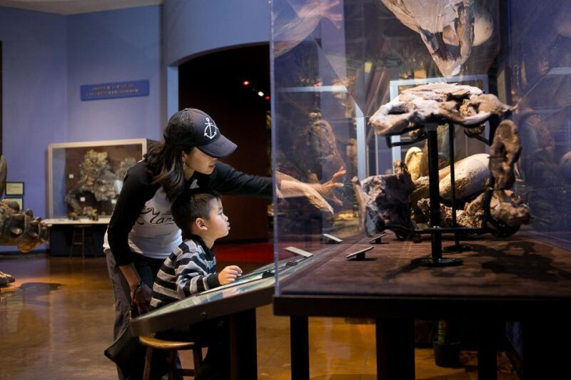 san-diego-san-diego-natural-history-museum-ticket