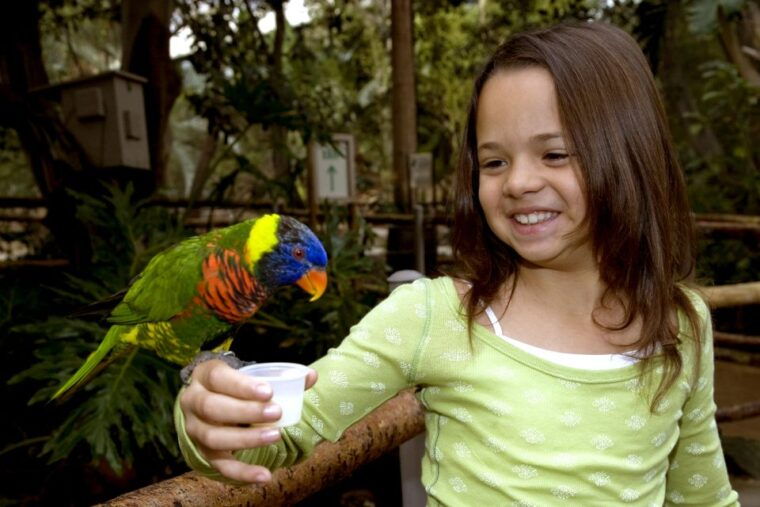san-diego-san-diego-zoo-safari-park-1-day-ticket