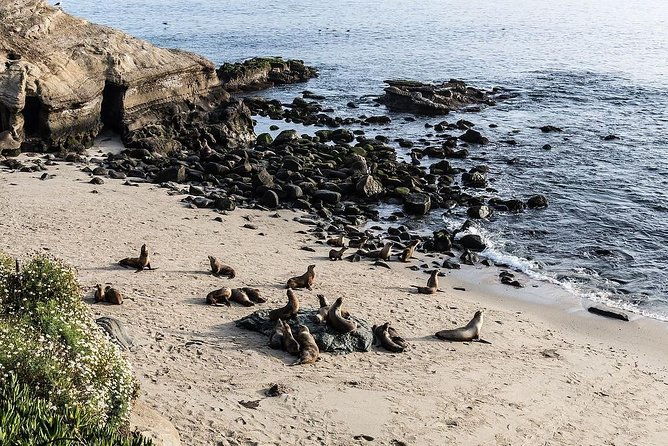 san-diego-scenic-tour