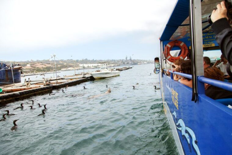 san-diego-seal-city-tour-by-amphibious-bus