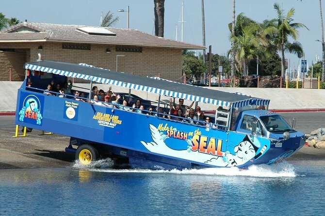 San Diego Shore Excursion: San Diego Seal Tour - Key Points: