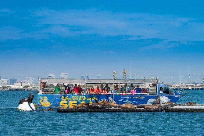 San Diego Shore Excursion: San Diego Seal Tour - Practical Tips for Making the Most of the Tour