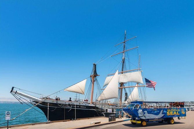 San Diego Shore Excursion: San Diego Seal Tour - Final Thoughts
