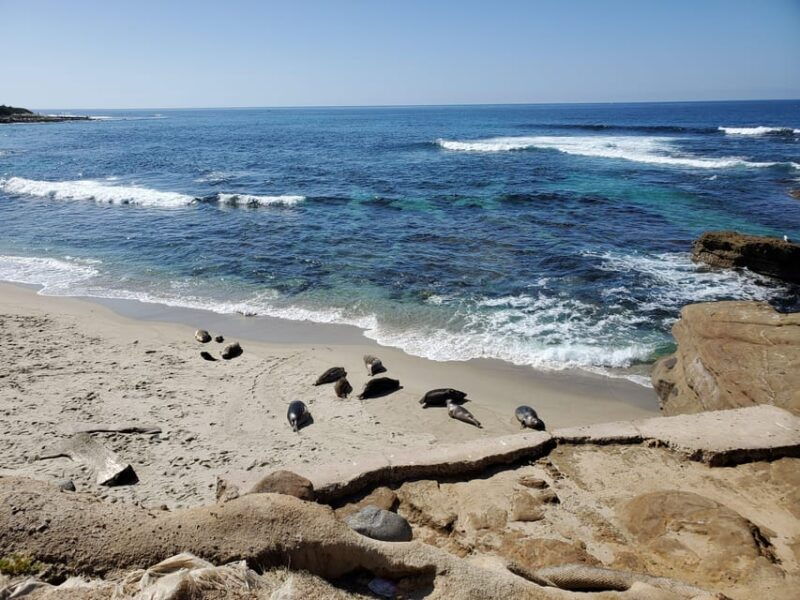 san-diego-tour-from-los-angeles