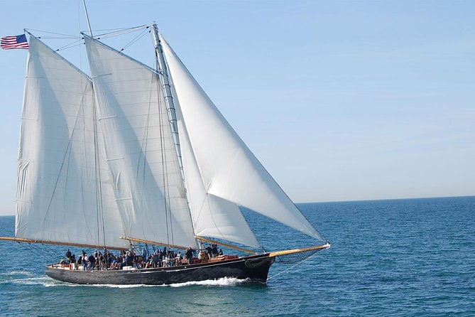 san-diego-whale-watching-cruise