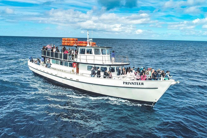 san-diego-whale-watching-tour