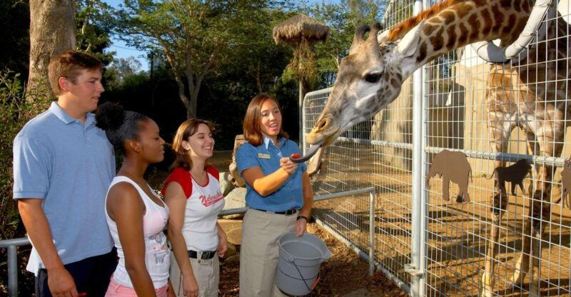 san-diego-zoo-1-day-admission-ticket
