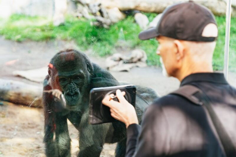 san-diego-zoo-1-day-admission-ticket