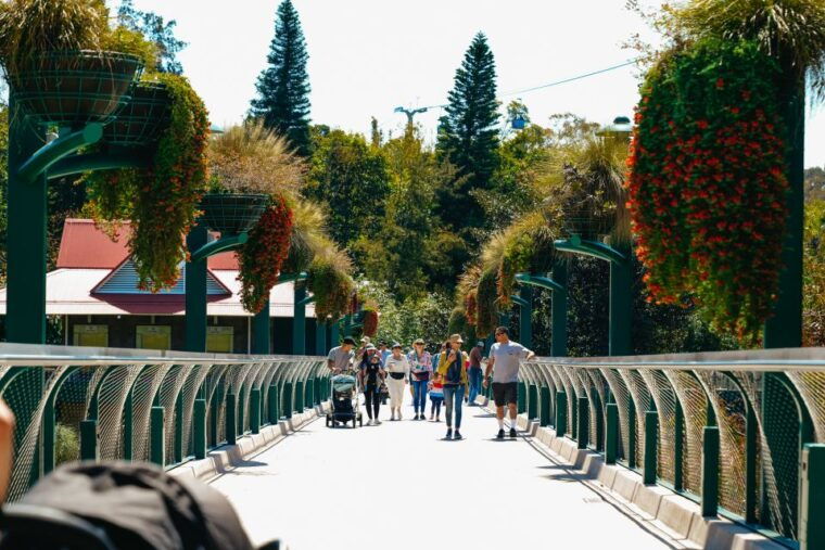san-diego-zoo-1-day-admission-ticket