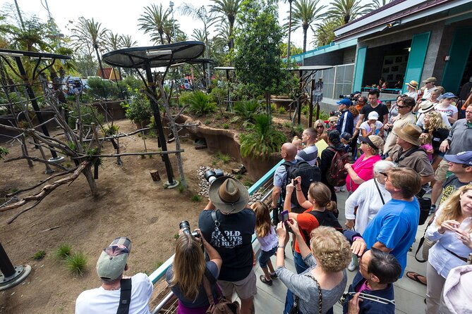 san-diego-zoo-1-day-pass-any-day-ticket