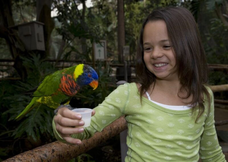 san-diego-zoo-and-safari-park-2-day-entry-ticket
