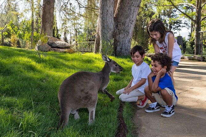 san-diego-zoo-safari-park-1-day-pass-any-day-ticket-2