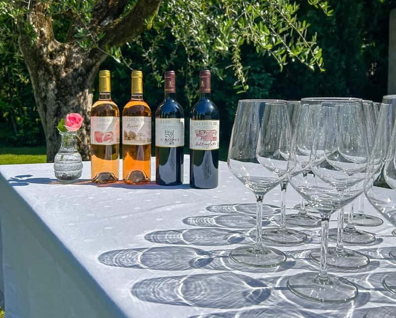 San Felice del Benaco: Vineyard Tour with Wine Tasting - What to Bring & Tips for Visitors