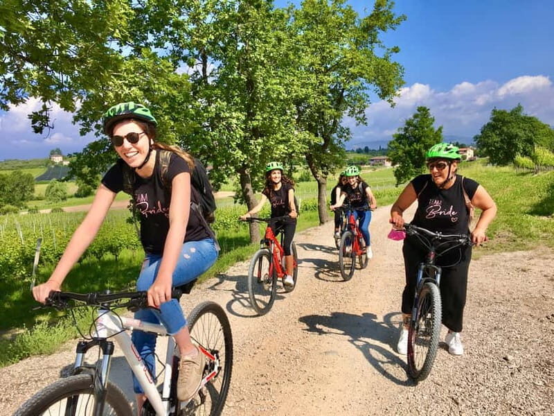 San Felice: E-bike tour and Olive Oil Tasting with food - Discovering Lake Gardas West Coast on Two Wheels